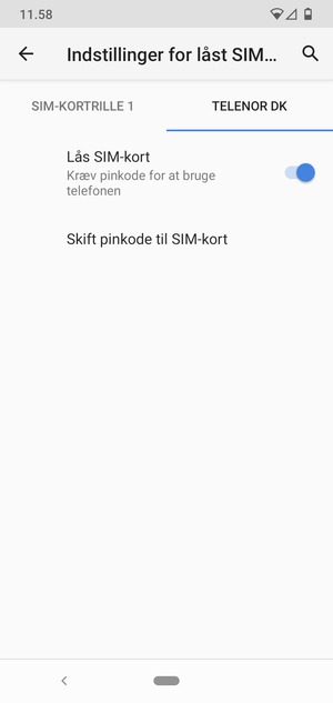 Vælg Public og Skift pinkode til SIM-kort