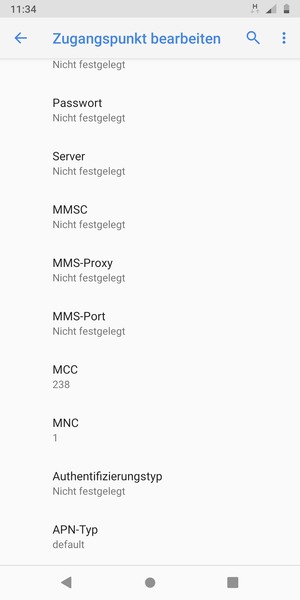 Scrollen Sie nach unten und geben Sie Internetinformationen ein