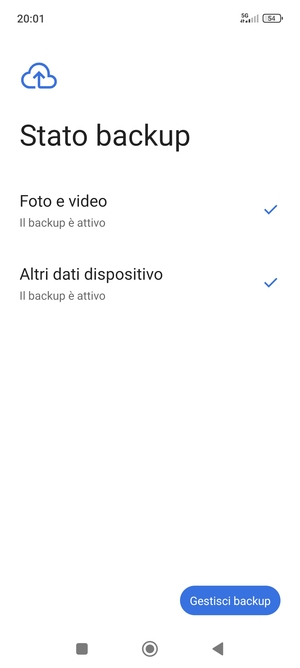Seleziona Gestisci backup