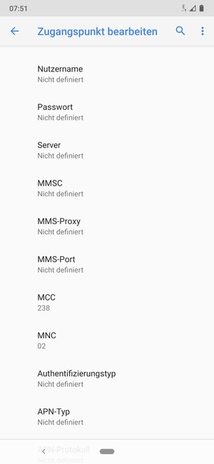 Scrollen Sie nach unten und geben Sie Internetinformationen ein