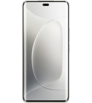 Honor 300 Pro