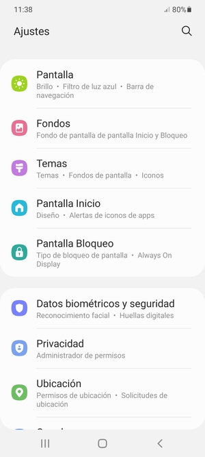 Desplácese y seleccione Datos biométricos y seguridad