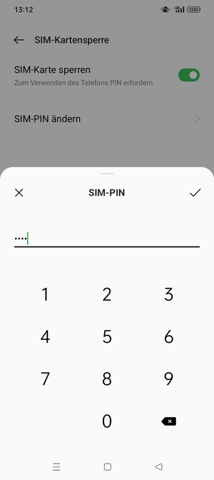 Geben Sie Aktuelle PIN für die SIM-Karte ein und wählen Sie OK