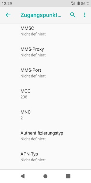 Scrollen Sie nach unten und geben Sie Internetinformationen ein