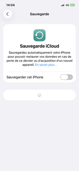 Activer le Sauvegarder cet iPhone