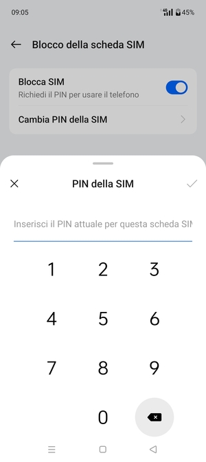 Inserisci PIN della SIM attuale e seleziona OK