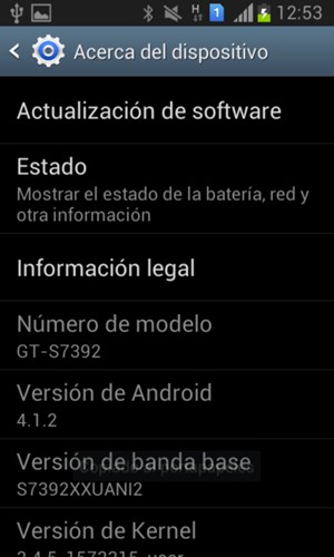Seleccione Actualización de software