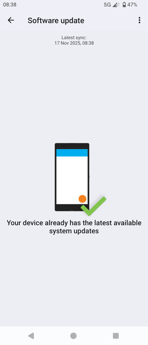 If your phone is up to date, you will see the following screen