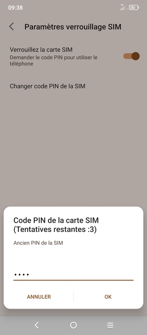 Saisissez votre Ancien code PIN de la carte SIM et sélectionnez OK