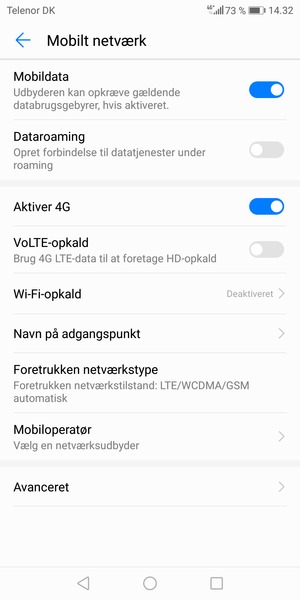 Vælg Foretrukken netværkstype