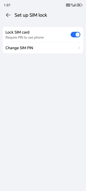 Select Change SIM PIN