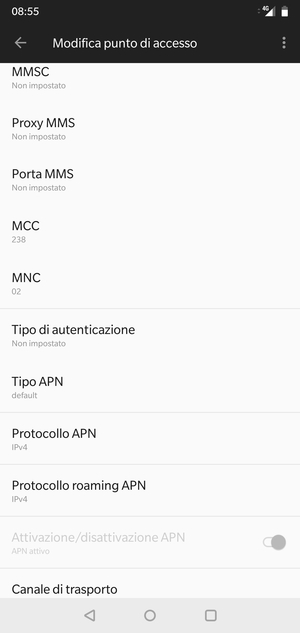 Scorri verso il basso e inserisci le informazioni di internet