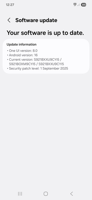 If your phone is  up to date, you will see the following screen