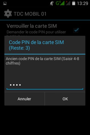 Saisissez votre Ancien code PIN de la carte SIM et sélectionnez OK