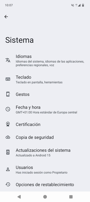 Seleccione Actualizaciónes del sistema