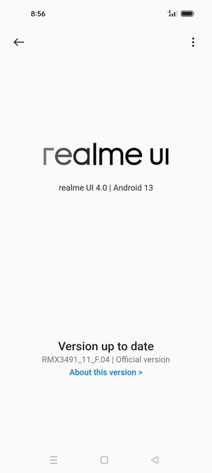 If your phone is up to date, you will see the following screen