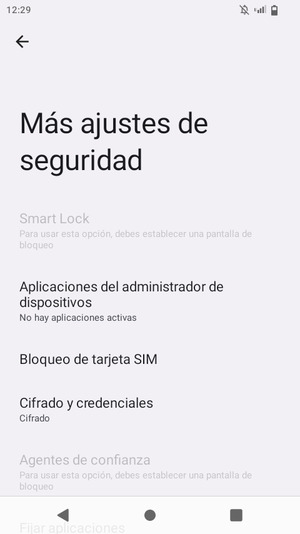 Seleccione Bloqueo de tarjeta SIM