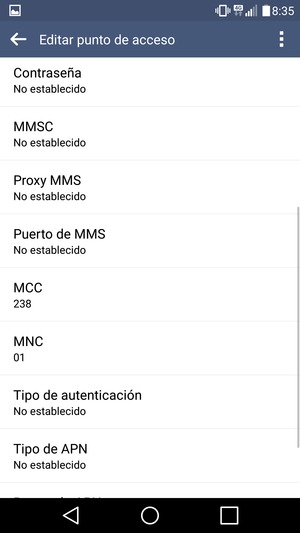 Desplácese hacia abajo e introduzca la información de Internet