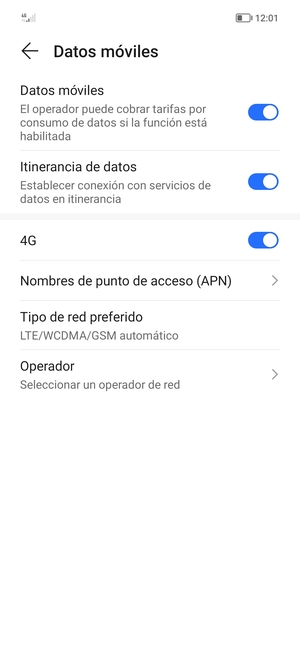 Activar o desactivar Itinerancia de datos