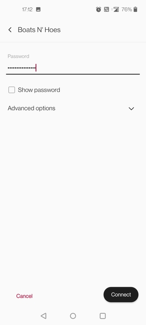 Enter the Wi-Fi password and select Connect