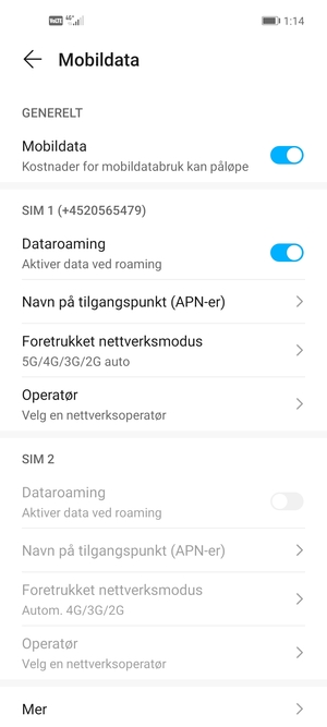 Slå Dataroaming på eller av