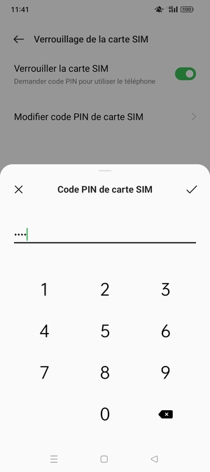 Saisissez code PIN actuel de cette carte SIM et sélectionnez OK