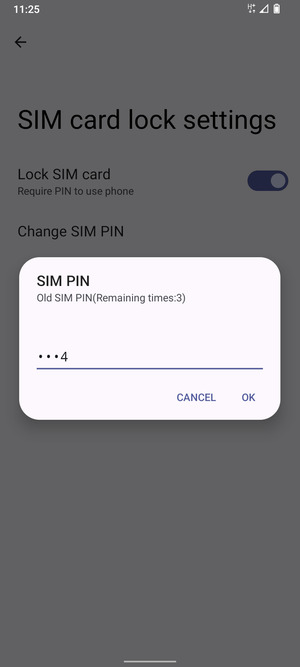Enter Old SIM PIN and select OK