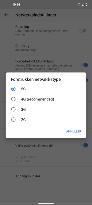 Vælg din foretrukne mulighed