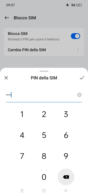 Inserisci PIN attuale della SIM e seleziona OK