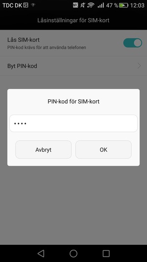 Ange din Gamla PIN-kod för SIM-kort och välj OK