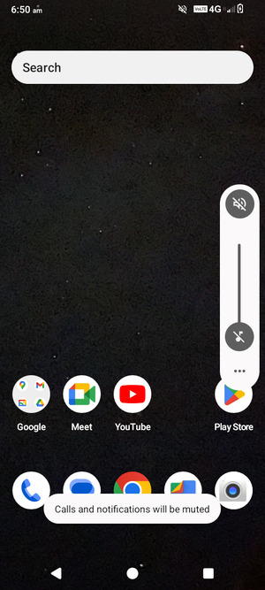 Select Mute to change to silent mode