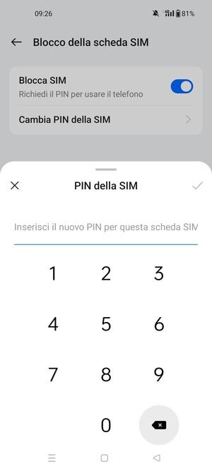 Inserisci Nuovo PIN della SIM e seleziona OK