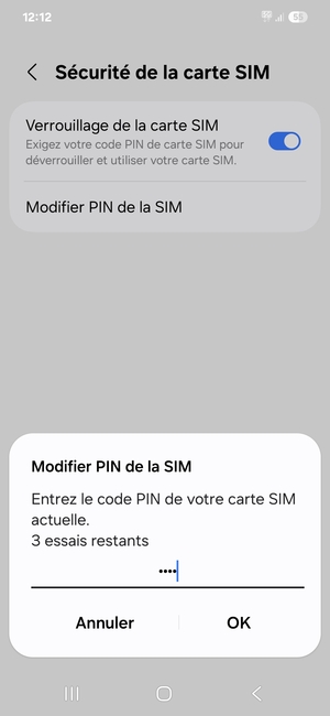 Saisissez votre Code PIN de la carte SIM actuelle et sélectionnez OK