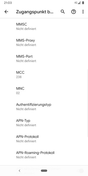 Scrollen Sie nach unten und geben Sie MMS-Informationen ein