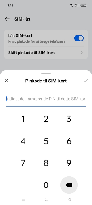 Indtast Nuværende PIN-kode til SIM-kort og vælg OK