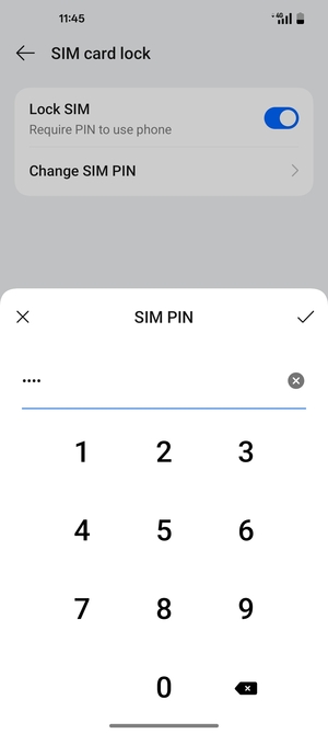 Enter your Current SIM PIN and select OK
