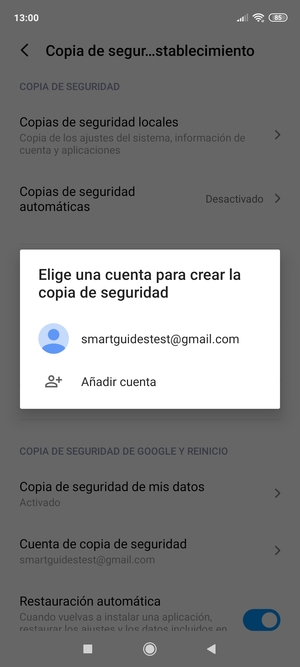 Seleccione su cuenta de copia de seguridad