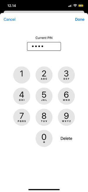 Enter your Current PIN and select Done
