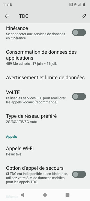 Faites défiler et sélectionnez Type de réseau préféré