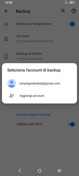 Seleziona il tuo account di backup