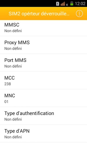 Faites défiler vers le bas et sélectionnez Type d'APN