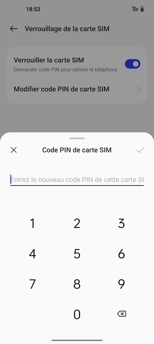 Saisissez votre Nouveau code PIN de la carte SIM et sélectionnez OK