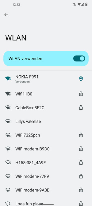 Sie sind nun mit dem WLAN-Netzwerk verbunden