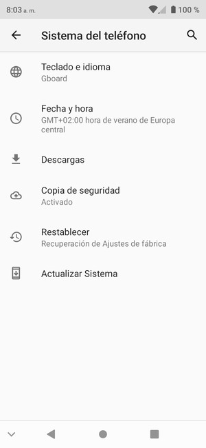 Seleccione Actualizar Sistema