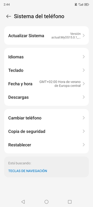 Seleccione Actualizar Sistema