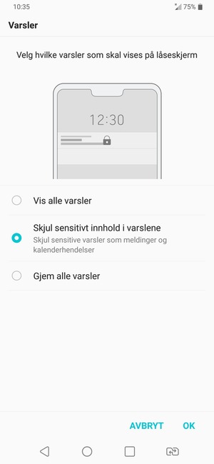 Velg ønsket alternativ og velg OK