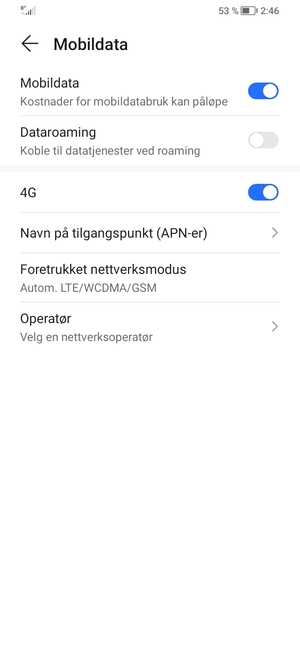 Velg Navn på tilgangspunkt (APN-er)