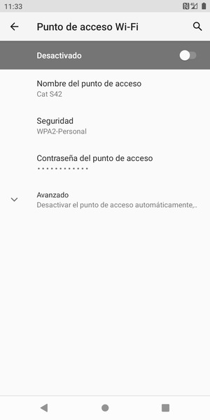 Seleccione Contraseña del punto de acceso