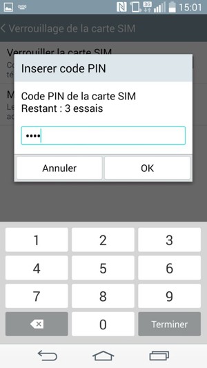 Saisissez votre Code PIN de la carte SIM actuel et sélectionnez OK