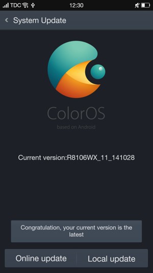 If your phone is up to date, you will see the following screen.